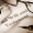 wp-header-logo-4.png